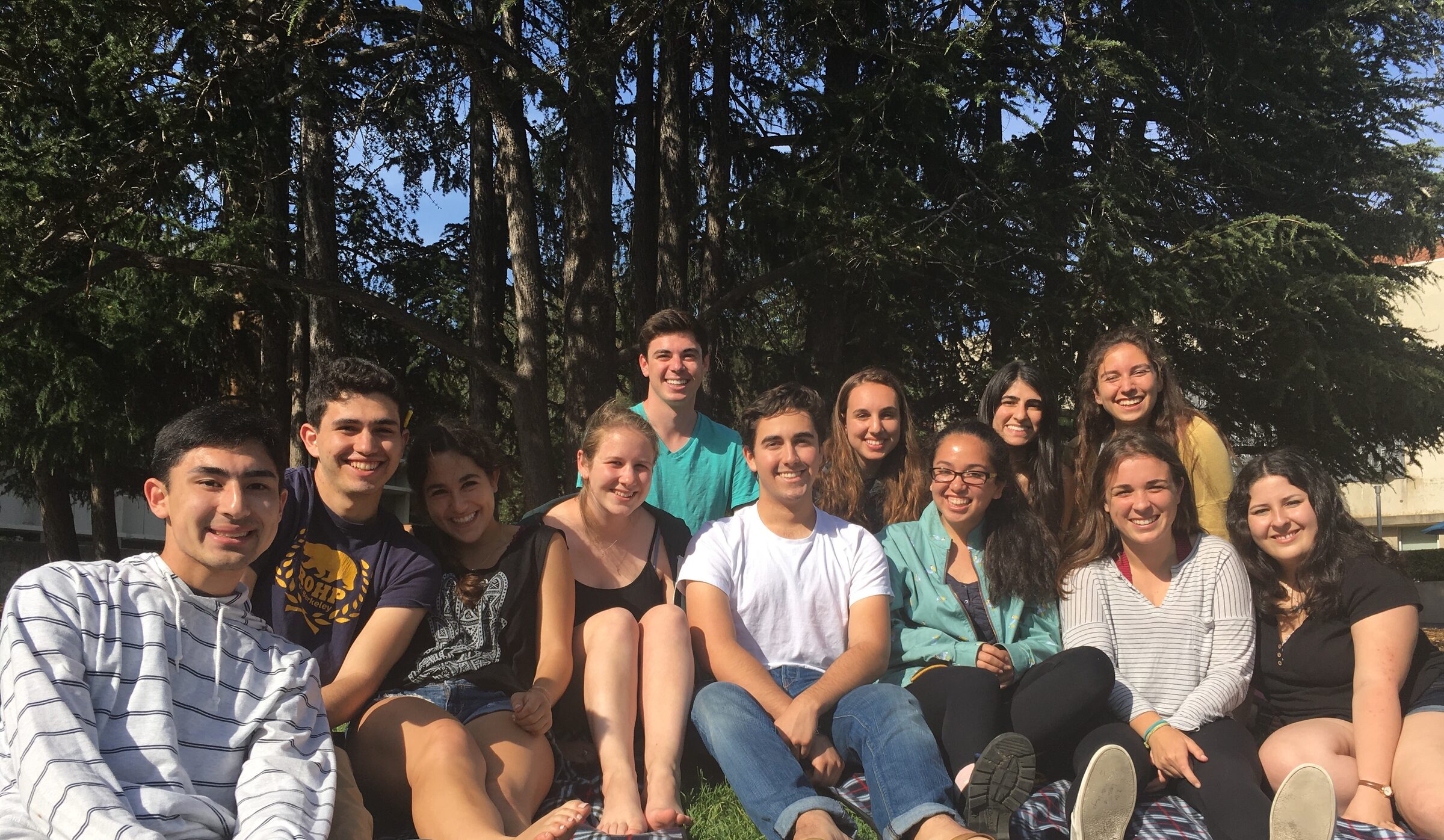 A group of students seated together outdoors among tall trees